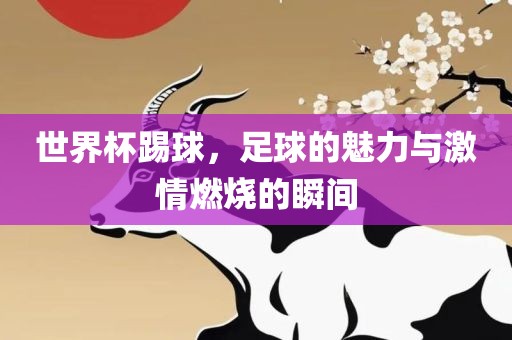世界杯踢球，足球的魅力与激情燃烧的瞬间