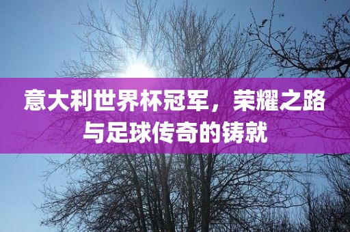 意大利世界杯冠军，荣耀之路与足球传奇的铸就