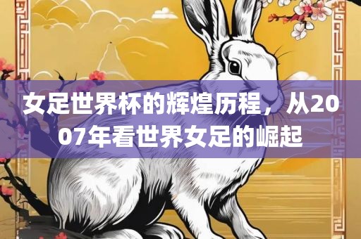 女足世界杯的辉煌历程，从2007年看世界女足的崛起