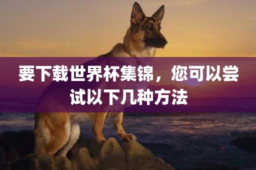 要下载世界杯集锦，您可以尝试以下几种方法洪湖市顺升工程机械租赁有限公司