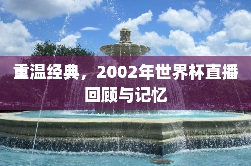 重温经典，2002年世界杯直播回顾与记忆洪湖市顺升工程机械租赁有限公司