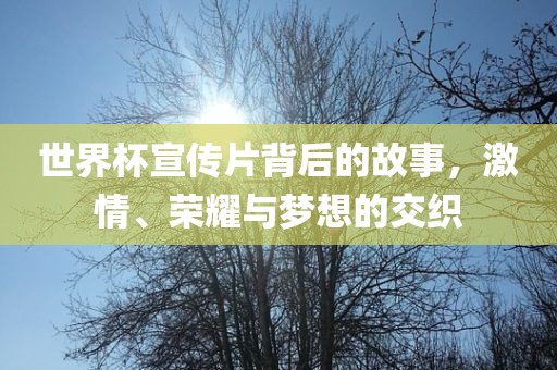 世界杯宣传片背后的故事，激情、荣耀与梦想的交织