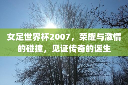 女足世界杯2007，荣耀与激情的碰撞，见证传奇的诞生洪湖市顺升工程机械租赁有限公司