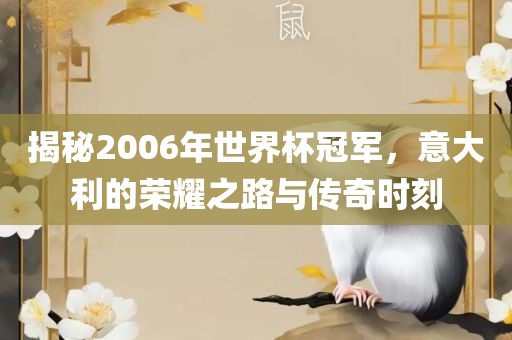 揭秘2006年世界杯冠军，意大利的荣耀之路与传奇时刻