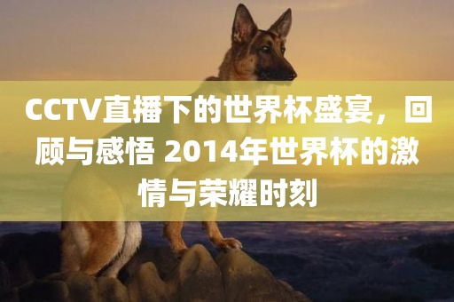 CCTV直播下的世界杯盛宴，回顾与感悟 2014年世界杯的激情与荣耀时刻