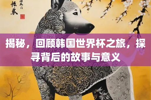 揭秘，回顾韩国世界杯之旅，探寻背后的故事与意义
