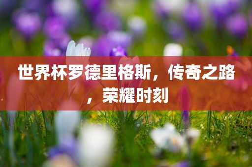 世洪湖市顺升工程机械租赁有限公司界杯罗德里格斯，传奇之路，荣耀时刻