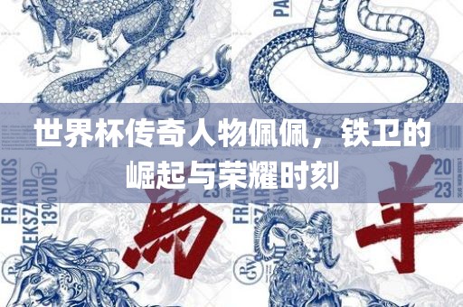 世界杯传奇人物佩佩，铁卫的崛起与荣耀时刻洪湖市顺升工程机械租赁有限公司