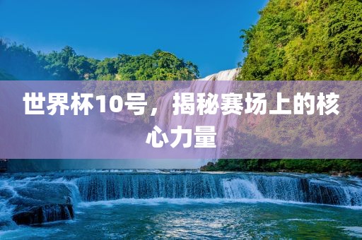 洪湖市顺升工程机械租赁有限公司世界杯10号，揭秘赛场上的核心力量
