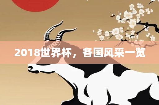 2018世界杯，各国风采一览