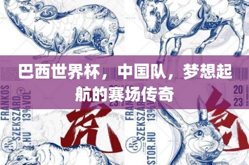 巴西世界杯 第8页