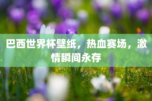 巴西世界杯壁纸，热血赛场，激情瞬间永存洪湖市顺升工程机械租赁有限公司