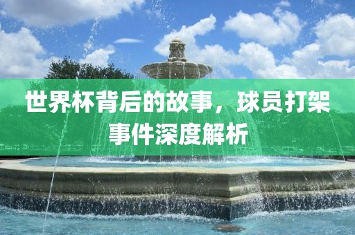 世界杯背后的故事，球员打架事件深度解析洪湖市顺升工程机械租赁有限公司