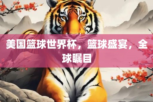 美国篮球世界杯，篮球盛宴，全球瞩目