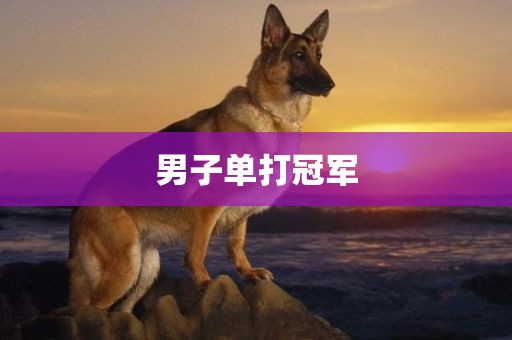 男子单打冠军洪湖市顺升工程机械租赁有限公司