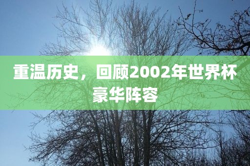 重温历史，回顾2002年世界杯豪华阵容