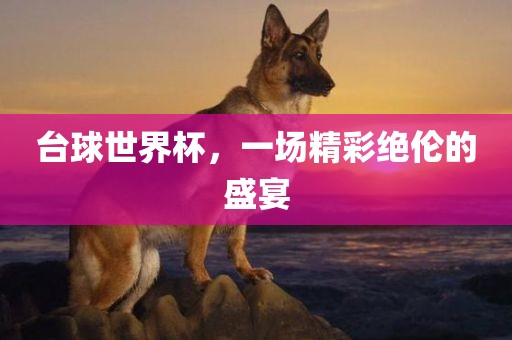 台球世界杯，一场精彩绝伦的盛宴