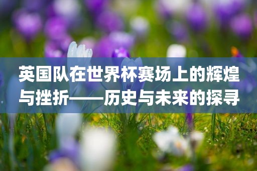 英国队在世界杯赛场上的辉煌与挫折洪湖市顺升工程机械租赁有限公司——历史与未来的探寻