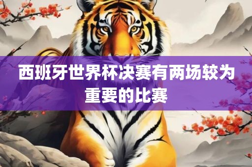 西班牙世界杯决赛有两场较为重要的比赛洪湖市顺升工程机械租赁有限公司