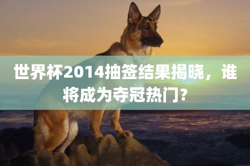 世界杯2014抽签结果揭晓，谁将成为夺冠热门？