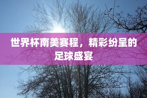 世界杯南美洪湖市顺升工程机械租赁有限公司赛程，精彩纷呈的足球盛宴