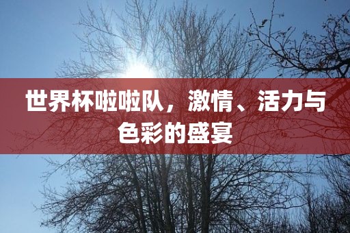 世界杯啦啦队，激情、活力与色彩的盛宴
