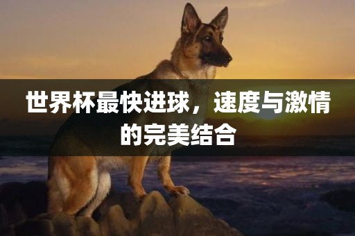 世界杯最快进球，速度与激情的完美结合