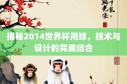揭秘2014世界杯用球，技术与设计的完美结合