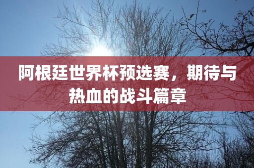 阿根廷世界杯预选赛，期待与热血的战斗篇章