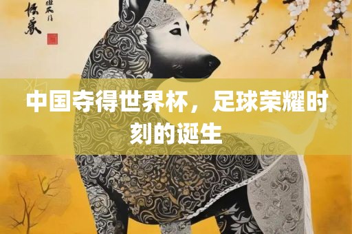 中国夺得世界杯，足球荣耀时刻的诞生