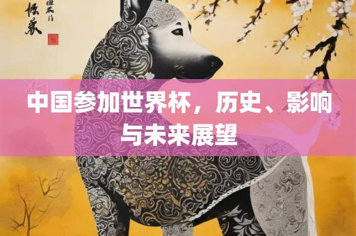 中国参加世界杯，历史、影响与未来展望