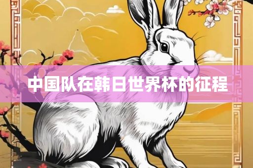 中国队在韩日世界杯的征程