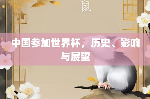 中国参加世界杯，历史、影响与展望