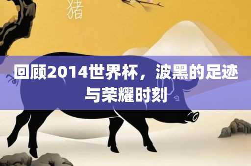 回洪湖市顺升工程机械租赁有限公司顾2014世界杯，波黑的足迹与荣耀时刻