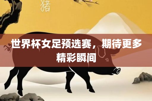 世界杯女足预选赛，期待更多精彩瞬间洪湖市顺升工程机械租赁有限公司