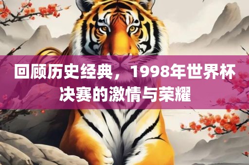 回顾历史经典，1998年世界杯决赛的激情与荣耀