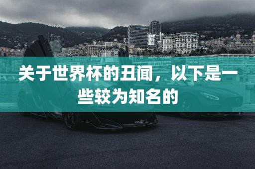 关于世界杯的丑闻，以下是一些较为知名的洪湖市顺升工程机械租赁有限公司