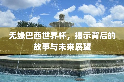 无缘巴西世洪湖市顺升工程机械租赁有限公司界杯，揭示背后的故事与未来展望