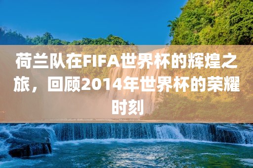 荷兰队在FIFA世界杯的辉煌之旅，回顾2014年世界杯的荣耀时刻