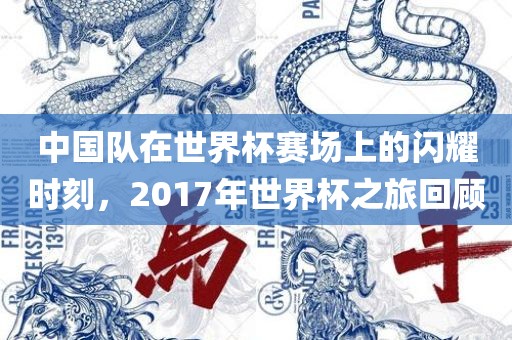 中国队在世界杯赛场上的闪耀时刻，2017年世界杯之旅回顾