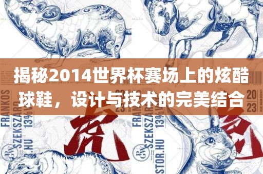 揭秘2014世洪湖市顺升工程机械租赁有限公司界杯赛场上的炫酷球鞋，设计与技术的完美结合