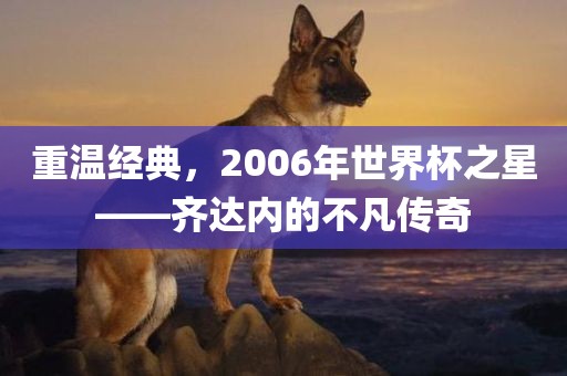 重温经典，2006年世界杯之星——齐达内的不凡传奇