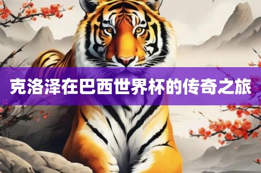 克洛泽在巴西世界杯的传奇之旅洪湖市顺升工程机械租赁有限公司