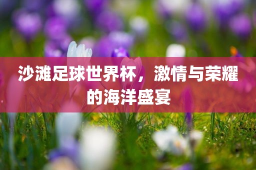 沙滩足球世界杯，激情与荣耀的海洋盛宴