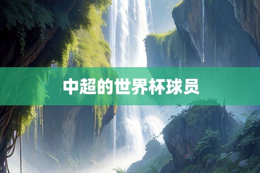 中超的世界杯球员洪湖市顺升工程机械租赁有限公司