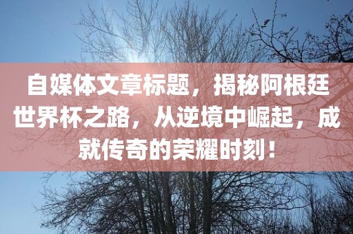自媒体文章标题，揭秘阿根廷世界杯之路，从逆境中崛起，成就传奇的荣耀时刻！洪湖市顺升工程机械租赁有限公司