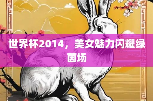 世界杯2014，美女魅力闪耀绿茵场