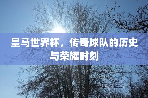 皇马世界杯，传奇球队的历史与荣耀时刻洪湖市顺升工程机械租赁有限公司