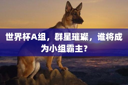 世界杯A组，群星璀璨，谁将成为小组霸主？