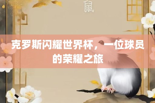 克罗斯闪耀世界杯，一位球员的荣耀之旅